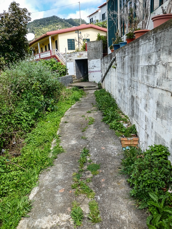 7 May 2019 Circular walk on two levadas around Machico — On to the church of Ribeira Seca — photo 37