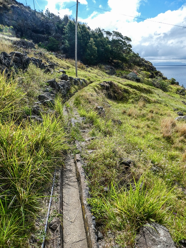 Levada do Desembarcadouro — Abschnitt 4 — Foto 16