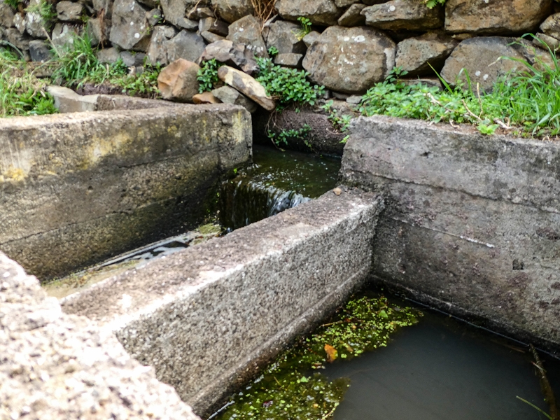 7 May 2019 Circular walk on two levadas around Machico — To the Ribeira Seca and the intermediate intake — photo 6