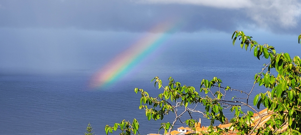 07.06.2024 Von Lombo zu Lombo auf der Levada Nova — Der Regenbogen — Foto 1