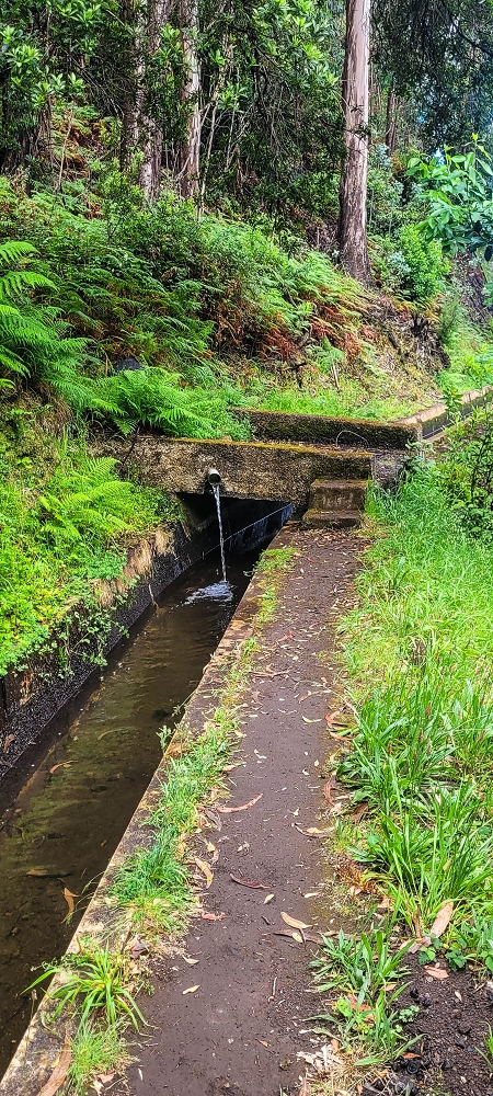 07.06.2024 Von Lombo zu Lombo auf der Levada Nova — Auf der Levada Nova — Foto 11