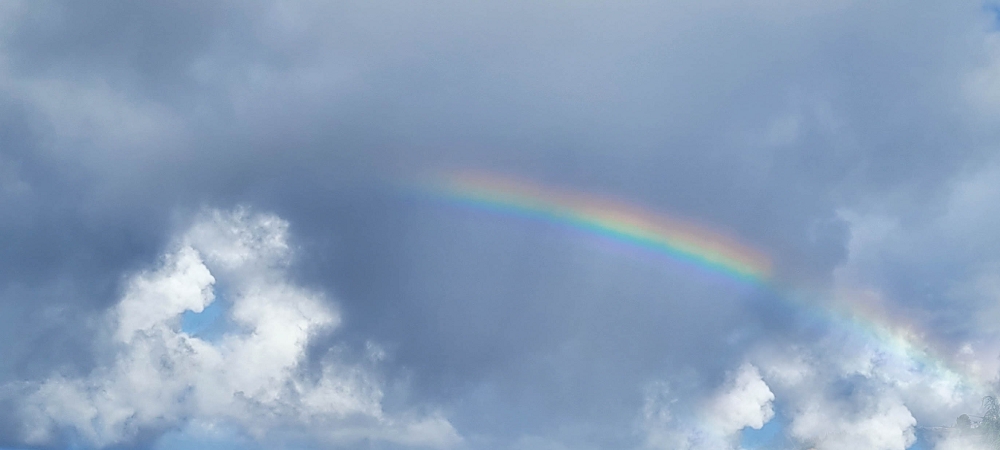 07.06.2024 Von Lombo zu Lombo auf der Levada Nova — Der Regenbogen — Foto 3