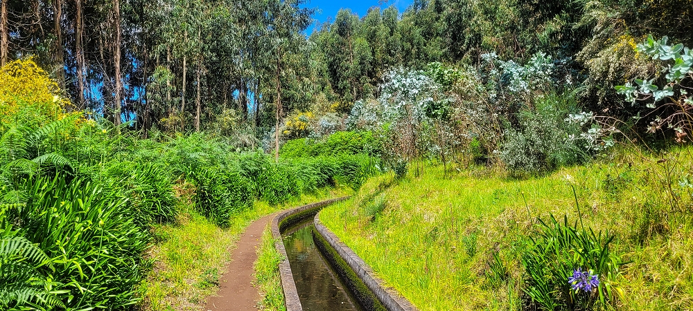 Levada Nova — Zwischen Lombo dos Castanheiros und Lombo da Ribeira Funda — Foto 1