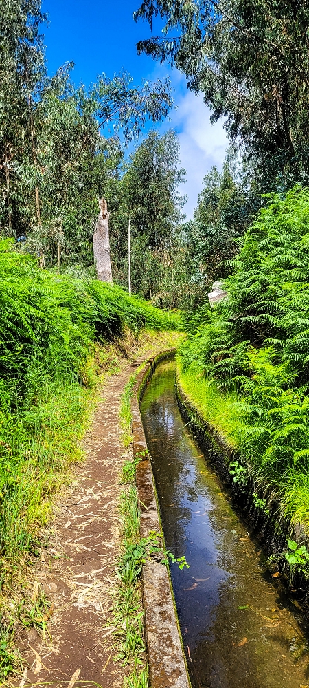 Levada Nova — Zwischen Lombo dos Castanheiros und Lombo da Ribeira Funda — Foto 2