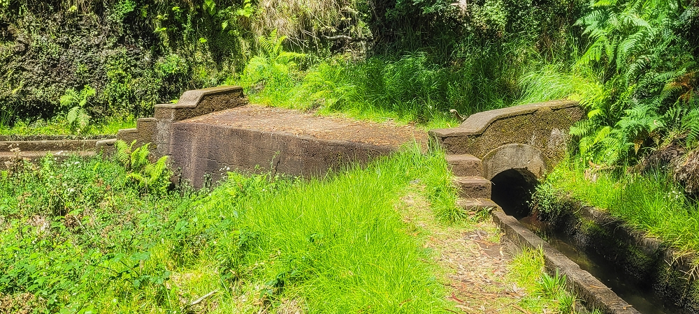 Levada Nova — Zwischen Lombo dos Castanheiros und Lombo da Ribeira Funda — Foto 3