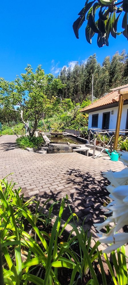 Levada Nova — Zwischen Lombo dos Castanheiros und Lombo da Ribeira Funda — Foto 5