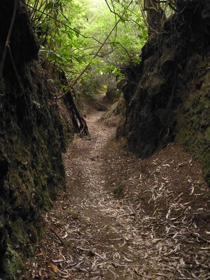 7 de agosto de 2012 Caldeirao do Inferno — De Ilha à Levada do Caldeirao Verde inf — foto 2