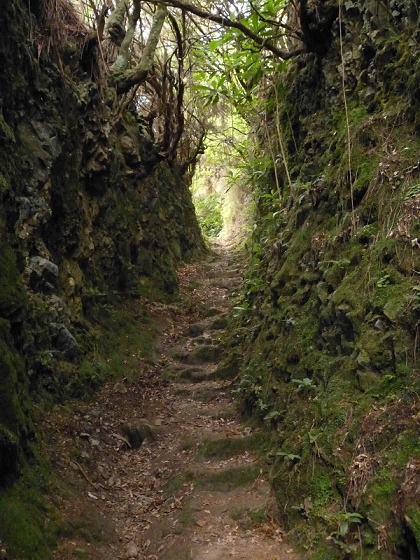 7 de agosto de 2012 Caldeirao do Inferno — De Ilha à Levada do Caldeirao Verde inf — foto 3