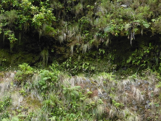 7 de agosto de 2012 Caldeirao do Inferno — Até à entrada do túnel do Pico Ruivo — foto 4