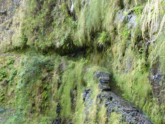 7 de agosto de 2012 Caldeirao do Inferno — Até à entrada do túnel do Pico Ruivo — foto 6