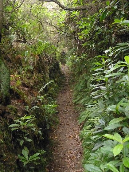 7 de agosto de 2012 Caldeirao do Inferno — De Ilha à Levada do Caldeirao Verde inf — foto 4