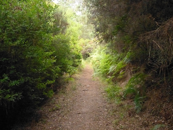 7 de agosto de 2012 Caldeirao do Inferno — De Ilha à Levada do Caldeirao Verde inf — foto 9
