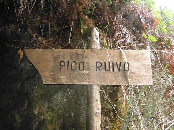 7 de agosto de 2012 Caldeirao do Inferno — De Ilha à Levada do Caldeirao Verde inf — foto 10