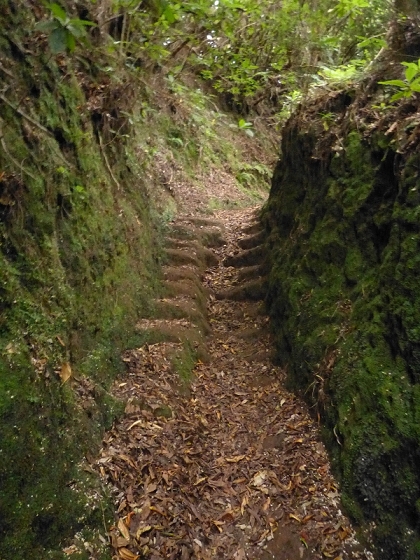7 de agosto de 2012 Caldeirao do Inferno — De Ilha à Levada do Caldeirao Verde inf — foto 11