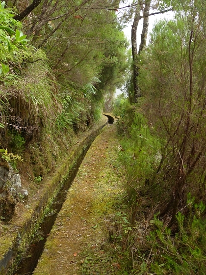 7 de agosto de 2012 Caldeirao do Inferno — Levada do Caldeirao Verde sup. — foto 4