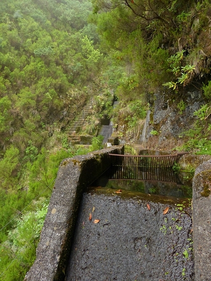7 de agosto de 2012 Caldeirao do Inferno — Levada do Caldeirao Verde sup. — foto 6