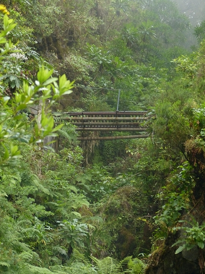 7 de agosto de 2012 Caldeirao do Inferno — Levada do Caldeirao Verde sup. — foto 7