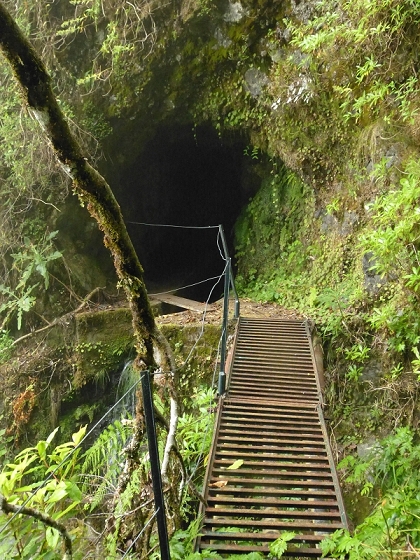 7 de agosto de 2012 Caldeirao do Inferno — Levada do Caldeirao Verde sup. — foto 8