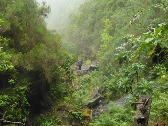 7 de agosto de 2012 Caldeirao do Inferno — Levada do Caldeirao Verde sup. — foto 9