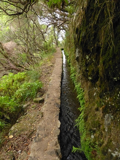 7 de agosto de 2012 Caldeirao do Inferno — Levada do Caldeirao Verde sup. — foto 12