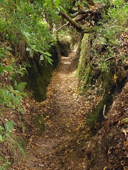 7 de agosto de 2012 Caldeirao do Inferno — De Ilha à Levada do Caldeirao Verde inf — foto 6