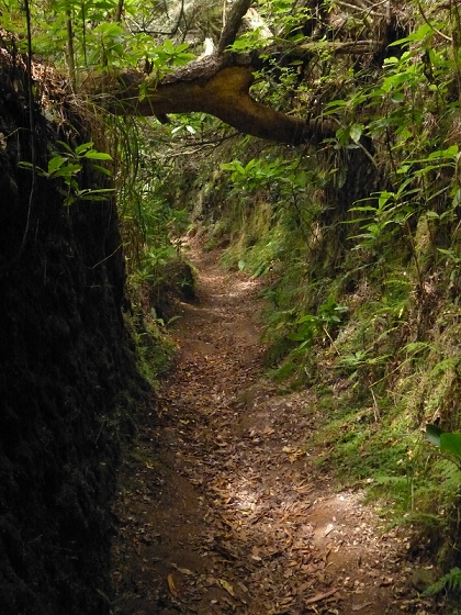 7 de agosto de 2012 Caldeirao do Inferno — De Ilha à Levada do Caldeirao Verde inf — foto 7