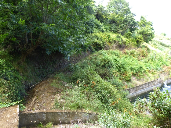 07.08.2013 Levada do Castelejo — Rückweg — Foto 38