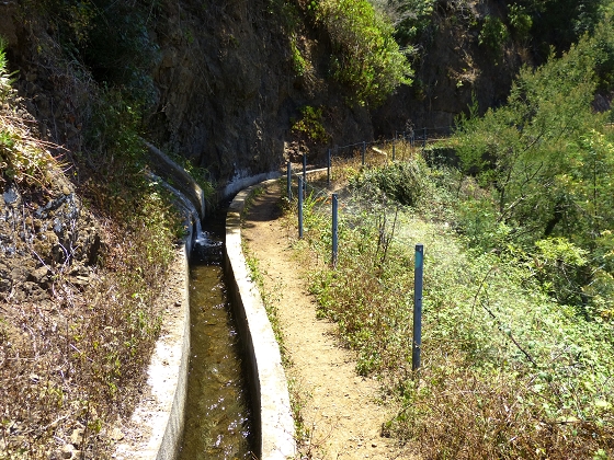 07.08.2013 Levada do Castelejo — Zur Madre der Levada do Castelejo — Foto 12