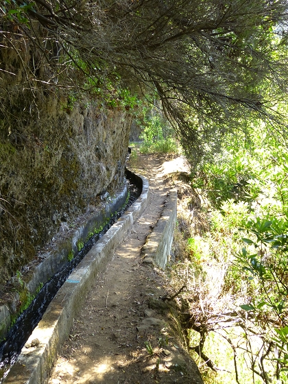07.08.2013 Levada do Castelejo — Zur Madre der Levada do Castelejo — Foto 25