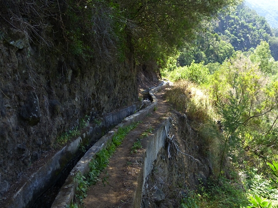 07.08.2013 Levada do Castelejo — Zur Madre der Levada do Castelejo — Foto 26