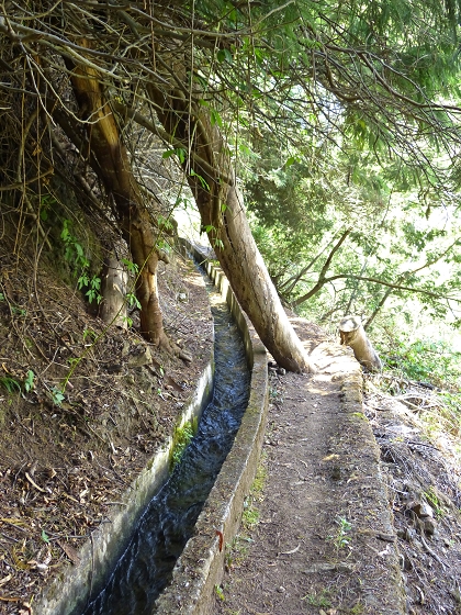 07.08.2013 Levada do Castelejo — Zur Madre der Levada do Castelejo — Foto 30