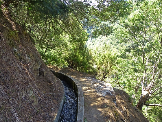 07.08.2013 Levada do Castelejo — Zur Madre der Levada do Castelejo — Foto 31