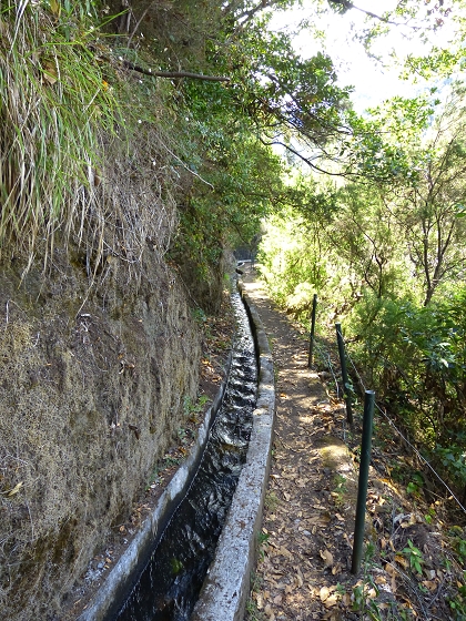 07.08.2013 Levada do Castelejo — Zur Madre der Levada do Castelejo — Foto 37