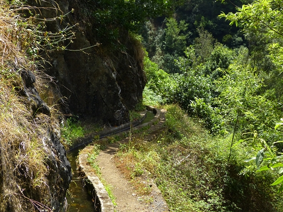 07.08.2013 Levada do Castelejo — Zur Madre der Levada do Castelejo — Foto 42