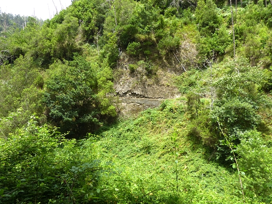 07.08.2013 Levada do Castelejo — Zur Madre der Levada do Castelejo — Foto 45
