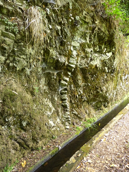 07.08.2013 Levada do Castelejo — Zur Madre der Levada do Castelejo — Foto 46