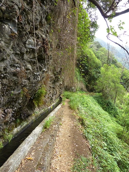 07.08.2013 Levada do Castelejo — Zur Madre der Levada do Castelejo — Foto 47