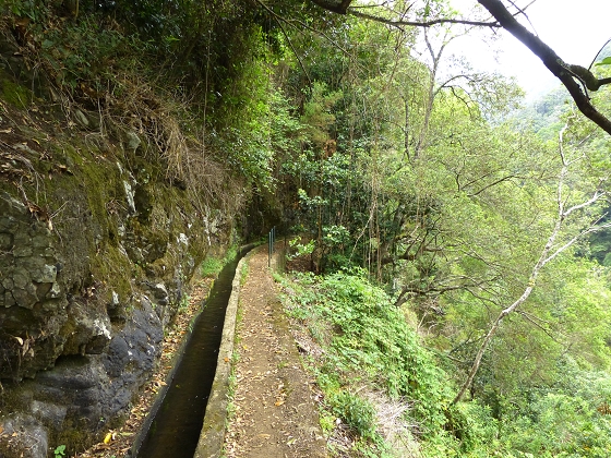 07.08.2013 Levada do Castelejo — Zur Madre der Levada do Castelejo — Foto 48