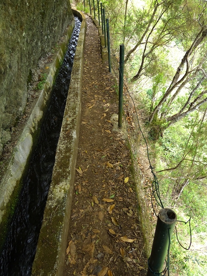 07.08.2013 Levada do Castelejo — Zur Madre der Levada do Castelejo — Foto 50