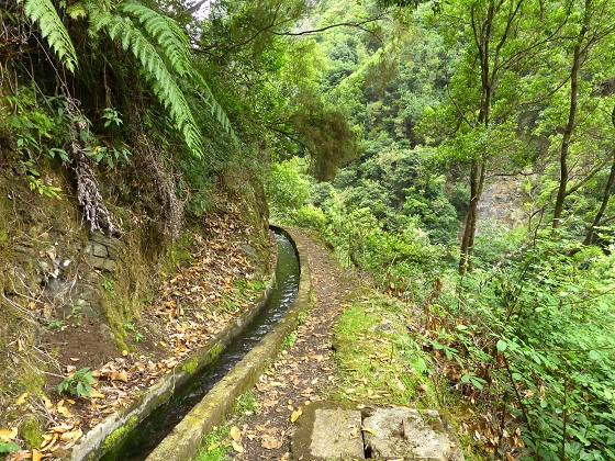 07.08.2013 Levada do Castelejo — Zur Madre der Levada do Castelejo — Foto 56