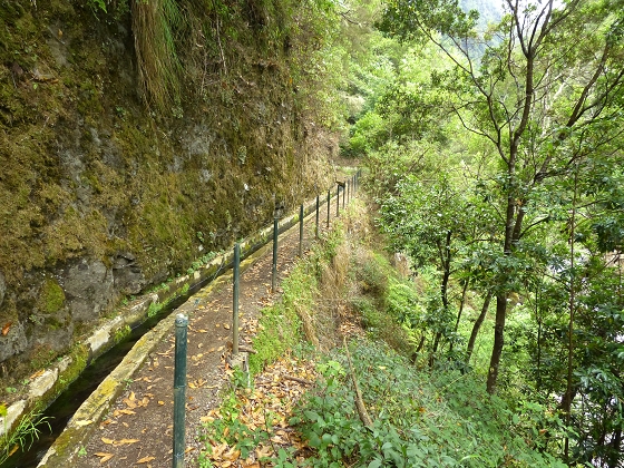 07.08.2013 Levada do Castelejo — Zur Madre der Levada do Castelejo — Foto 57