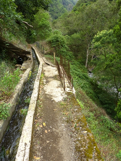 07.08.2013 Levada do Castelejo — Zur Madre der Levada do Castelejo — Foto 60