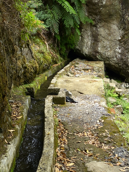 07.08.2013 Levada do Castelejo — Zur Madre der Levada do Castelejo — Foto 62