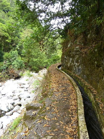 07.08.2013 Levada do Castelejo — Rückweg — Foto 1