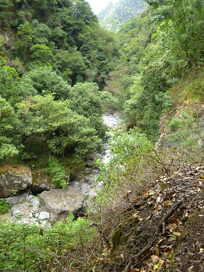 07.08.2013 Levada do Castelejo — Rückweg — Foto 2