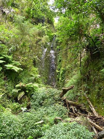07.08.2013 Levada do Castelejo — Rückweg — Foto 5