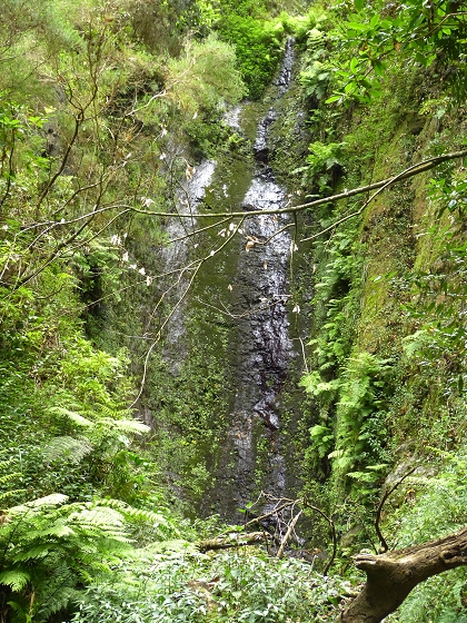 07.08.2013 Levada do Castelejo — Rückweg — Foto 6