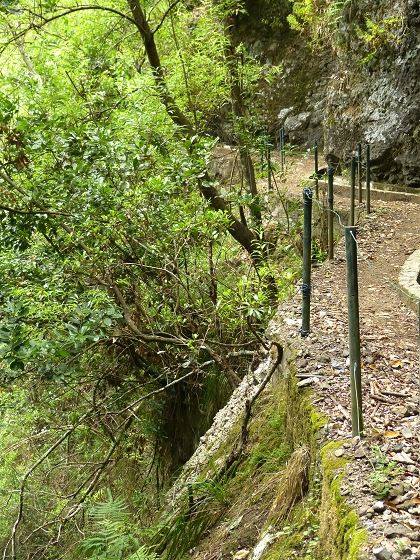 07.08.2013 Levada do Castelejo — Rückweg — Foto 7
