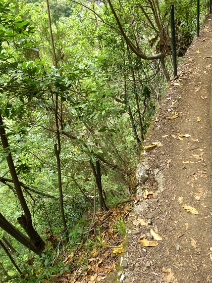 07.08.2013 Levada do Castelejo — Rückweg — Foto 8
