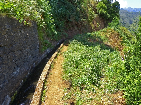07.08.2013 Levada do Castelejo — Zur Madre der Levada do Castelejo — Foto 9